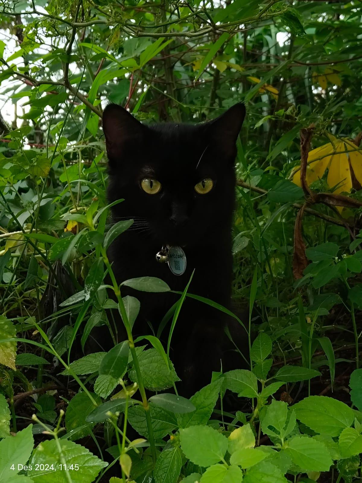 Example Article From Test 21 Course